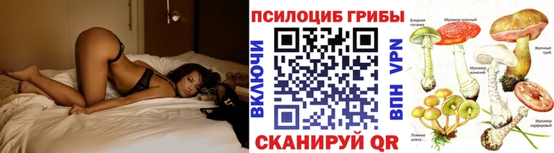 Псилоцибиновые грибы Cubensis  цена наркотик  Шилка 